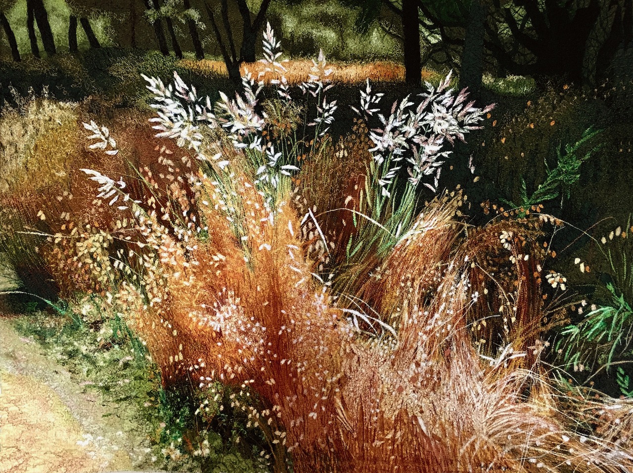 Bluegrass-Elkhorn-Slough-25x33