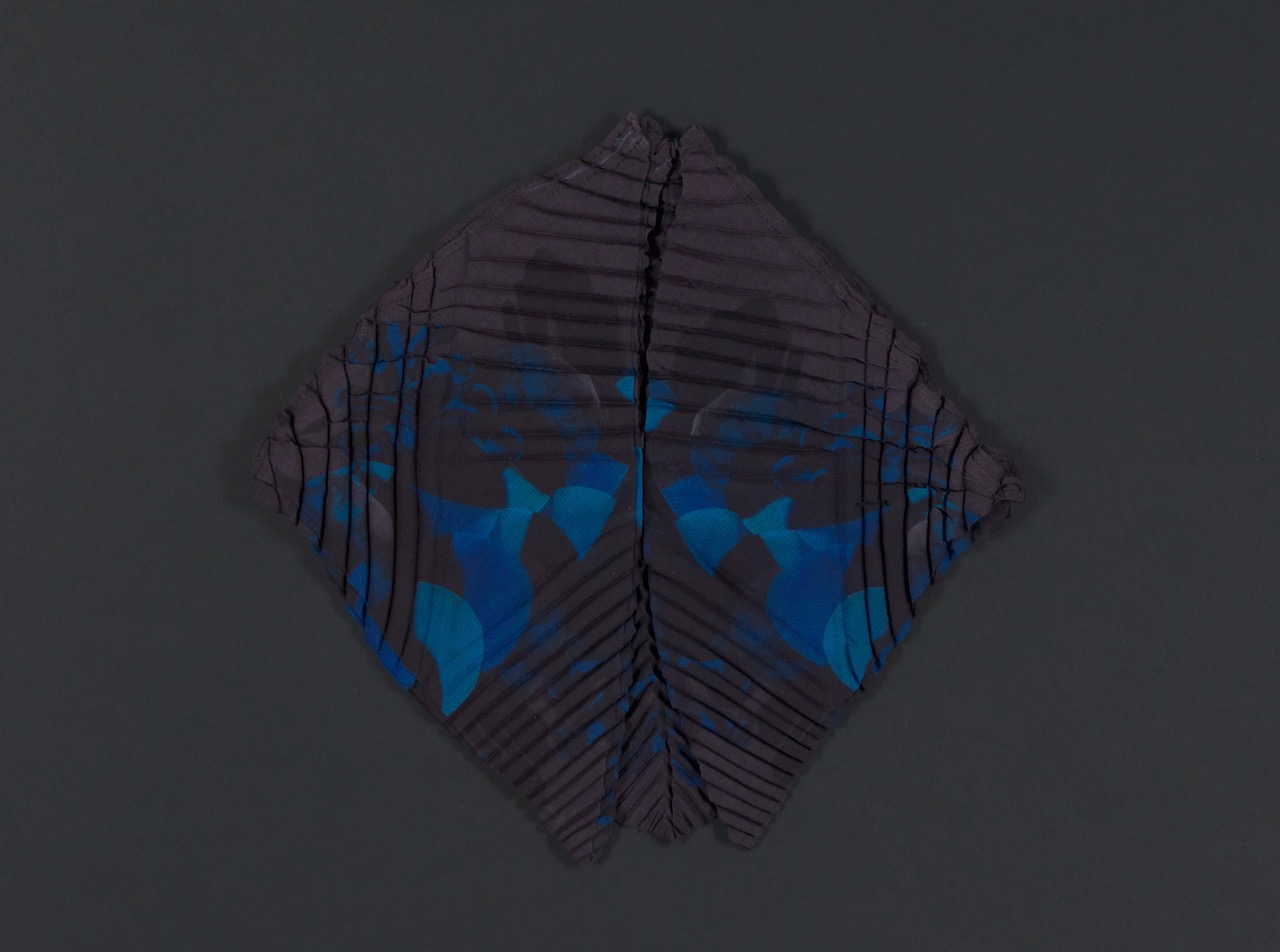 SEnoch_CRINOIDEA_unfolding1-kopie