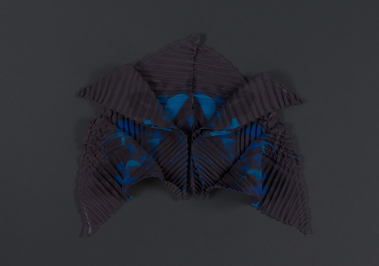 SEnoch_CRINOIDEA_unfolding2-kopie