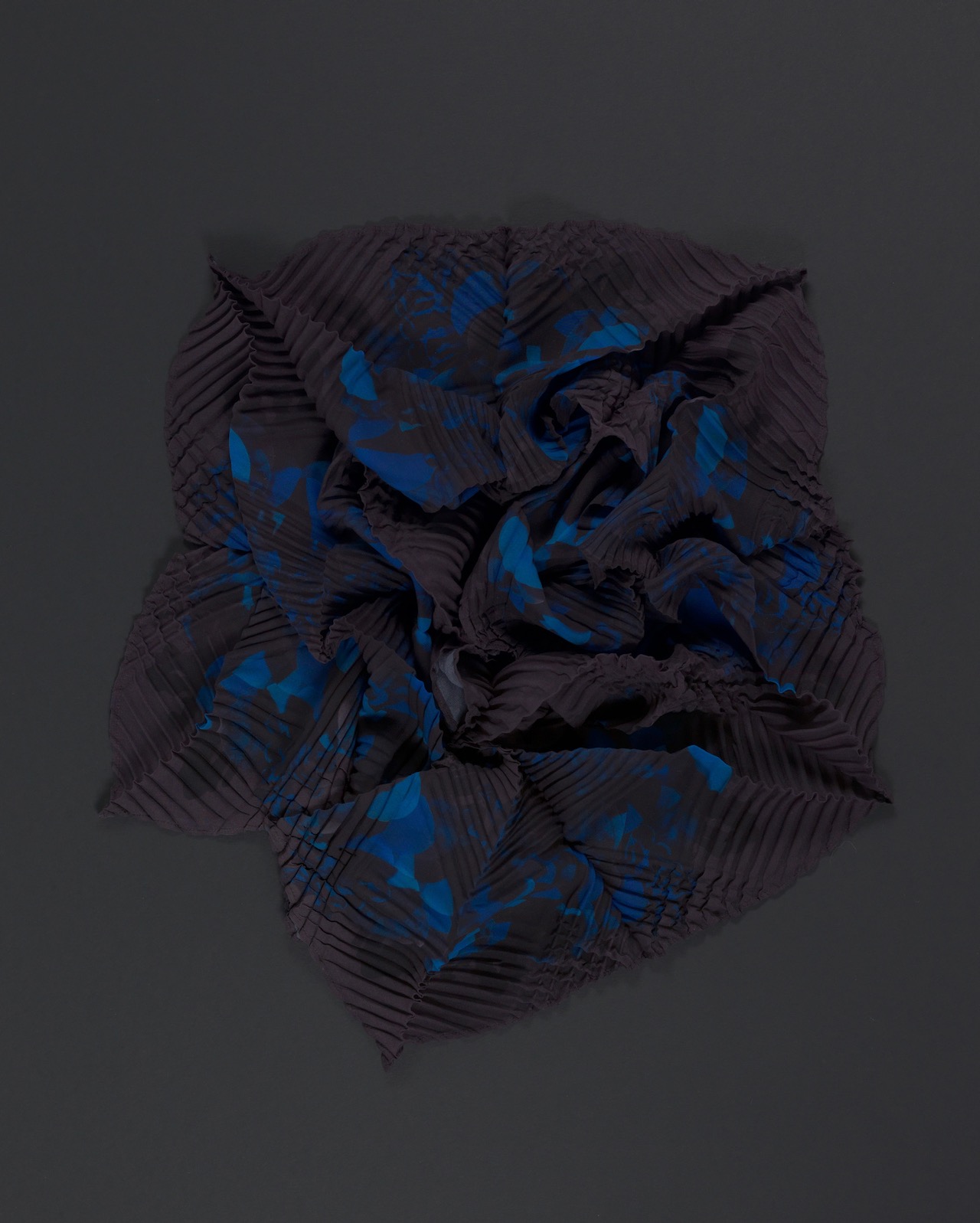 SEnoch_CRINOIDEA_unfolding3-kopie