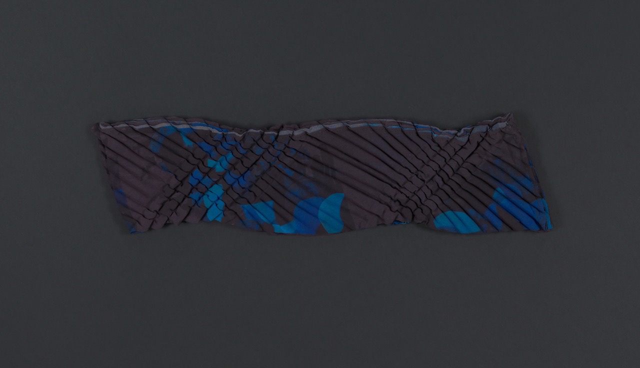 SEnoch_DIATOMEA_unfolding1-kopie