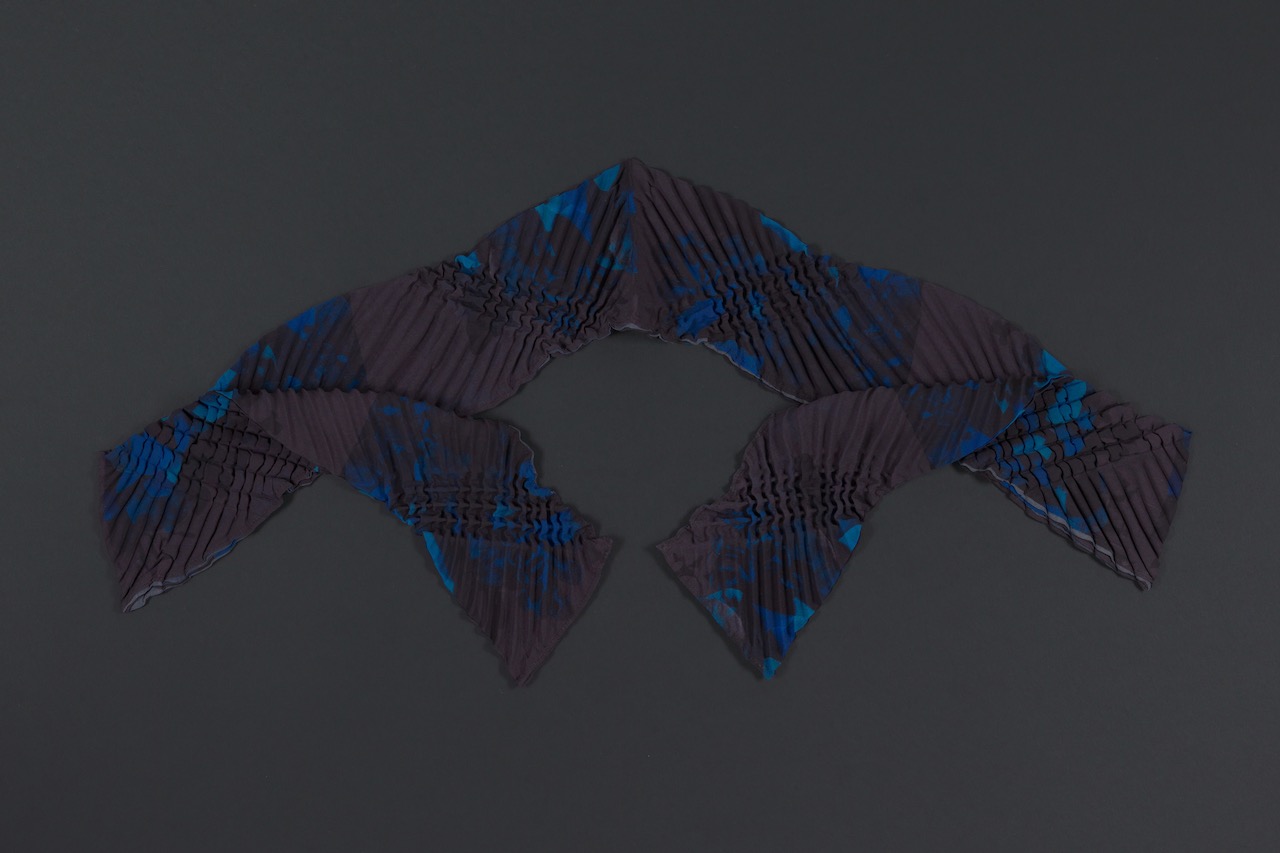 SEnoch_DIATOMEA_unfolding2-kopie