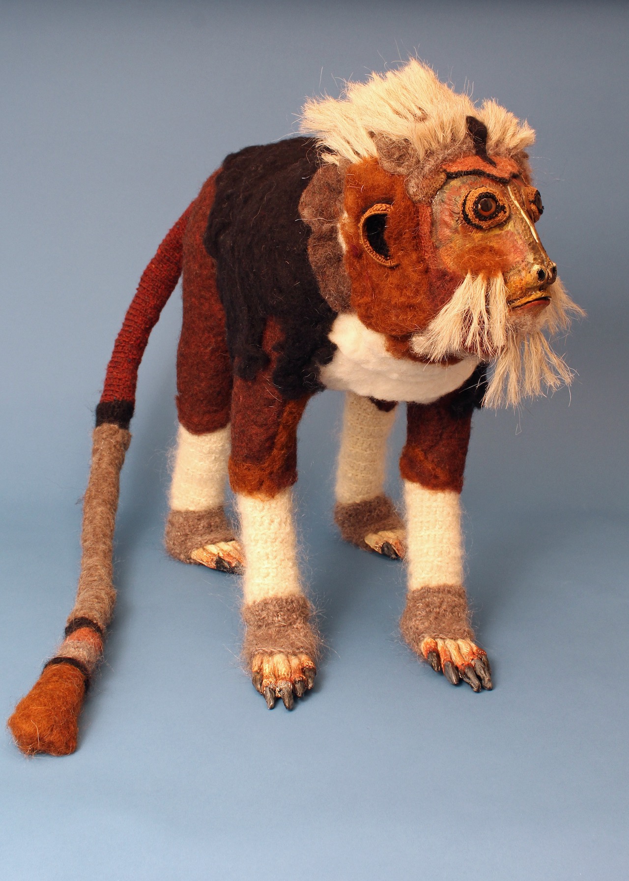 Tamarin-Frt