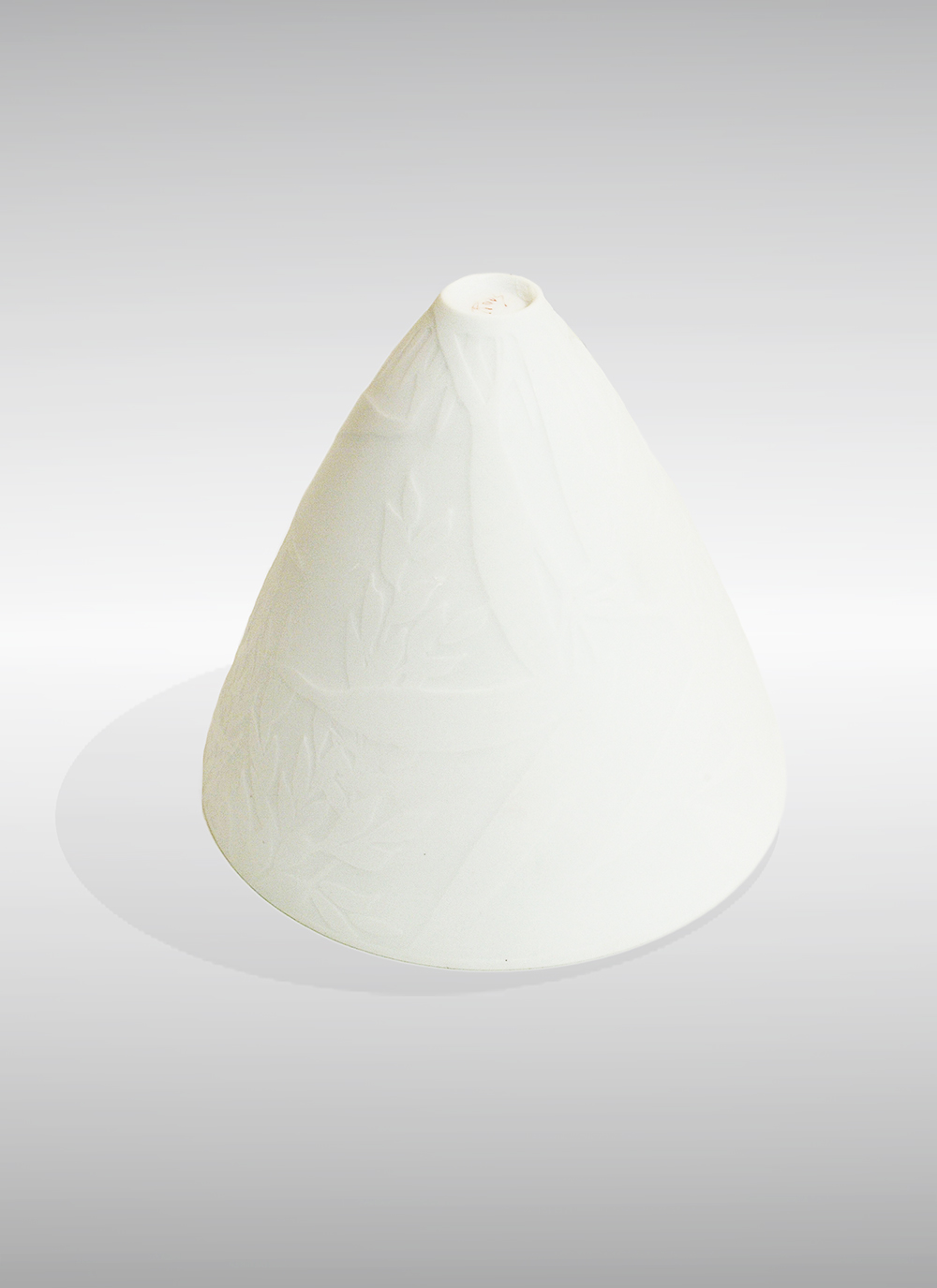 RoosA_6Bottom_w.jpg RoosA_6Bottom_w.jpg