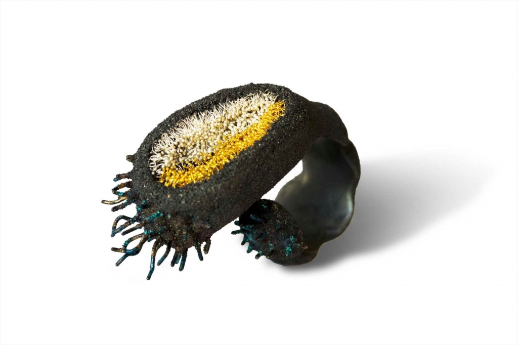 AFuchi_Heliopause_Ring