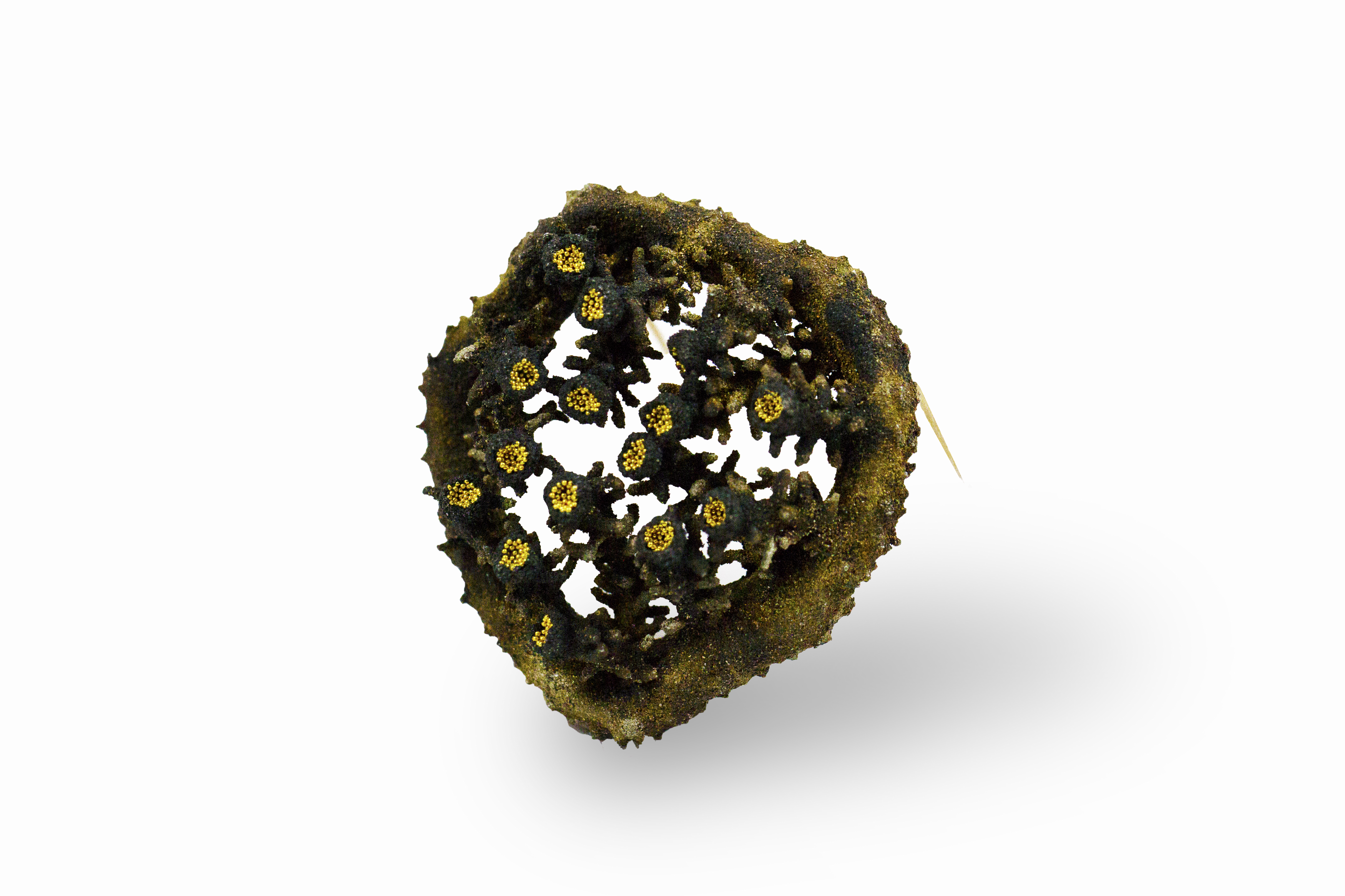 ArataFuchi-Brooch