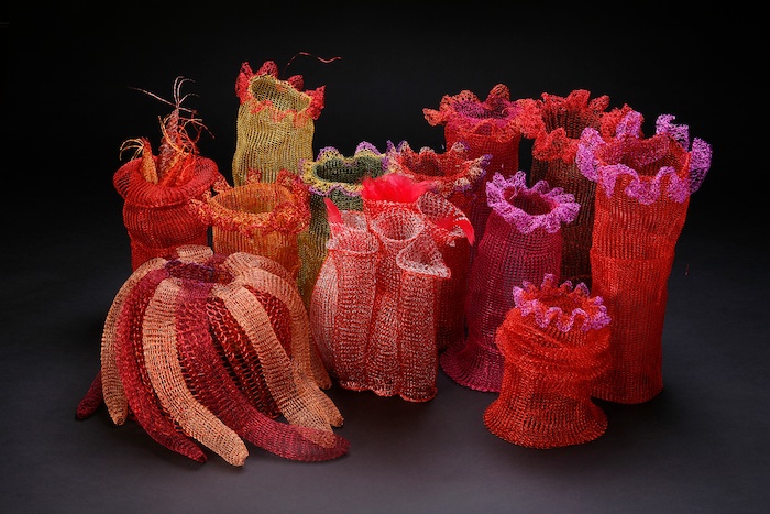 AFisch_Corals_Group