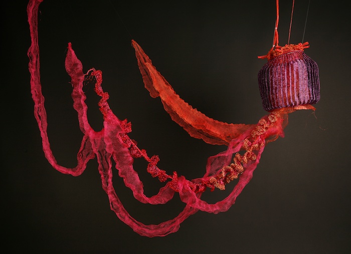 AFisch_CreaturesFromTheDeep_BlackSeaNettle
