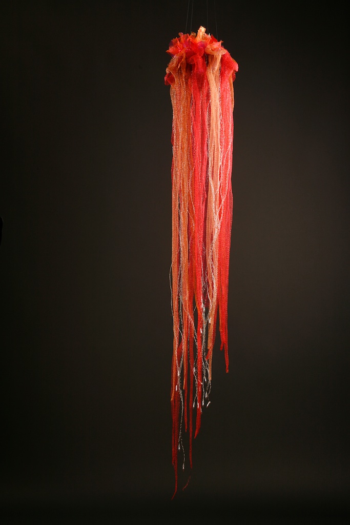 AFisch_CreaturesFromTheDeep_Lion'sManeJelly