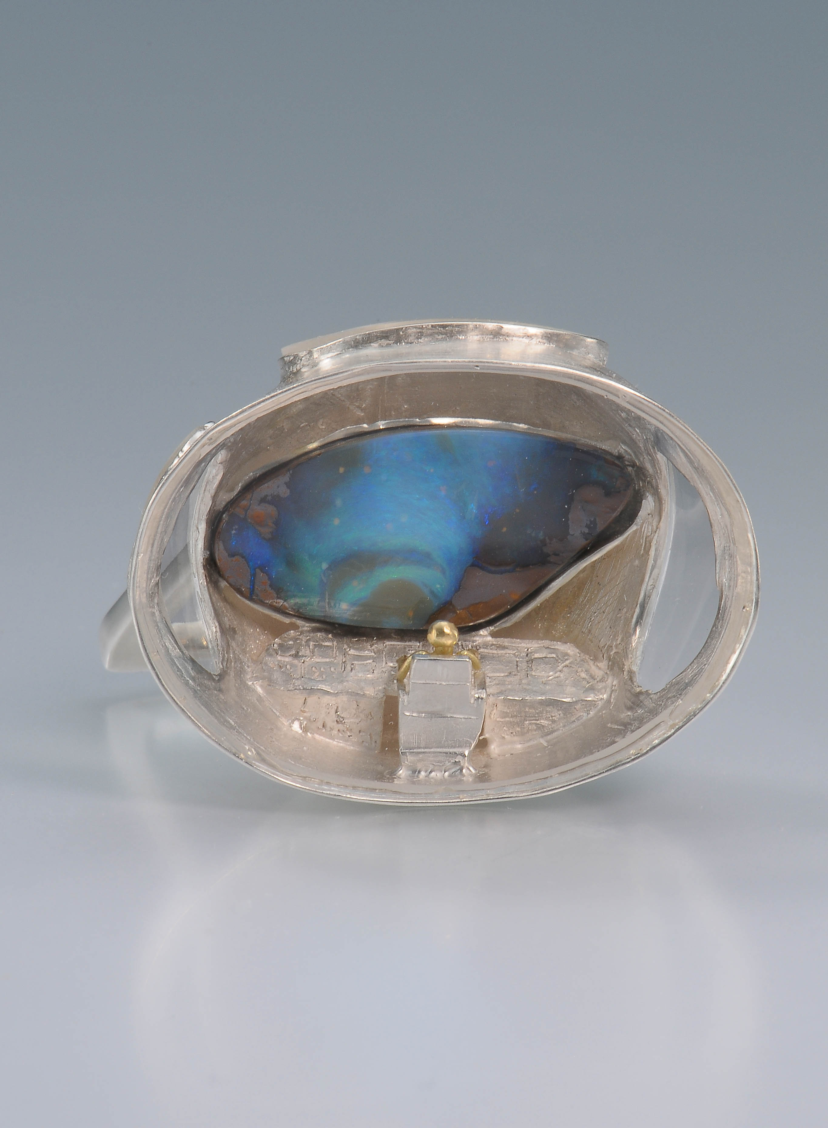 MaedaA_Ring_SpaceFlight MaedaA_Ring_SpaceFlight