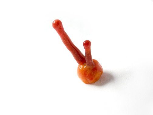 Brooch