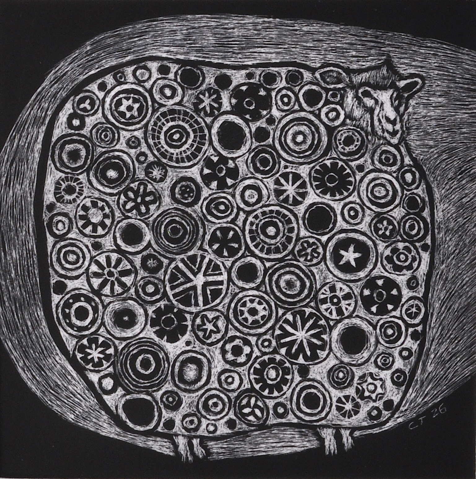 51.-Sheep-In-The-Spotlight-2026