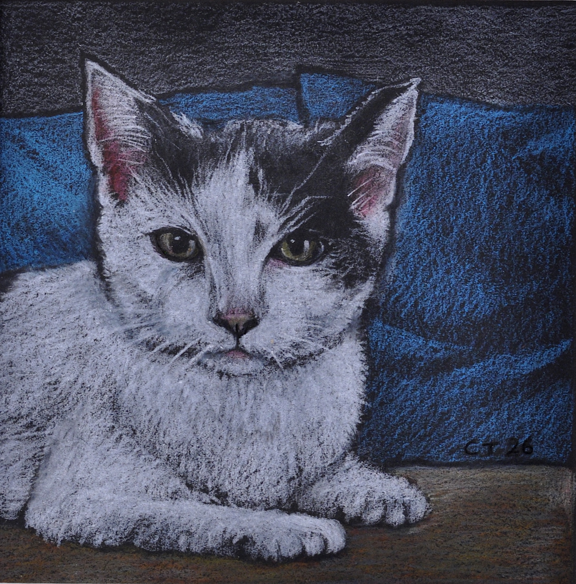 57.-Cat-On-A-Table-2026