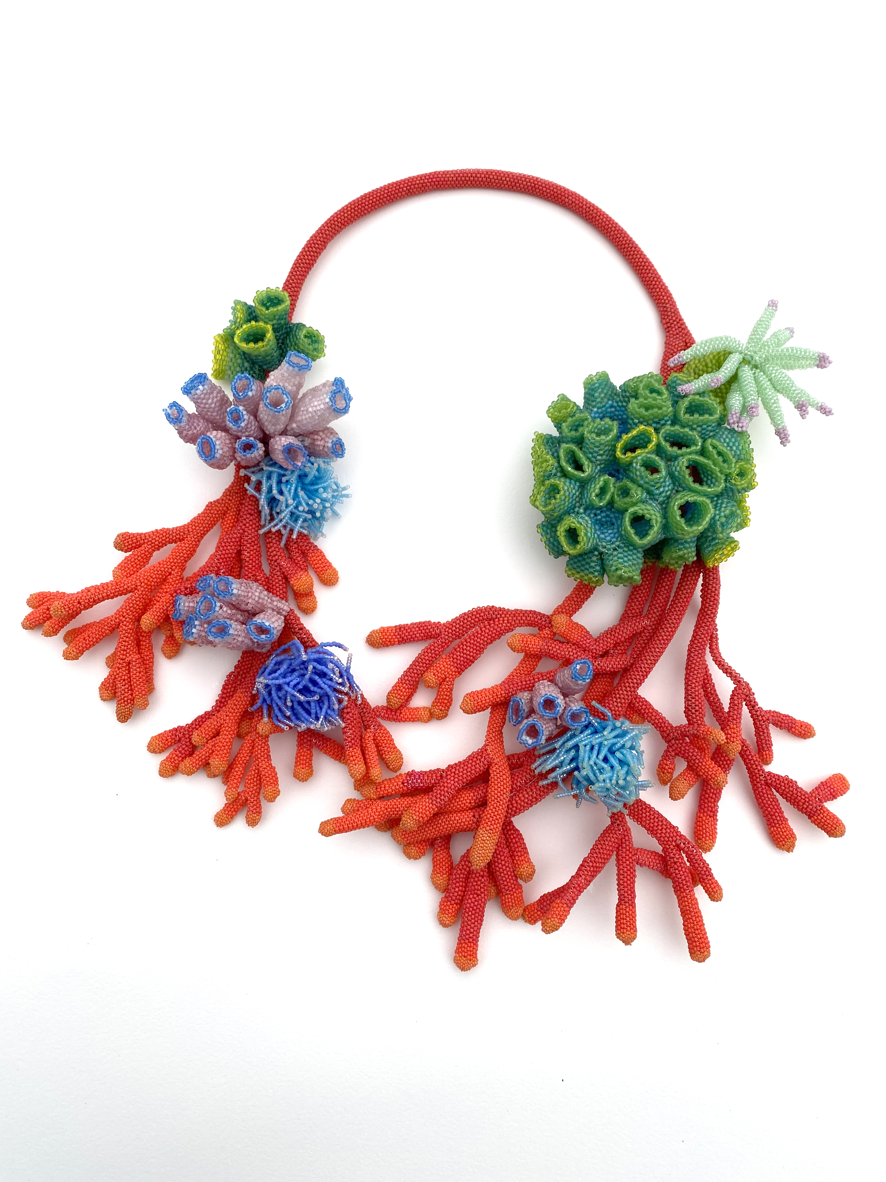 KarenPaust_Corals