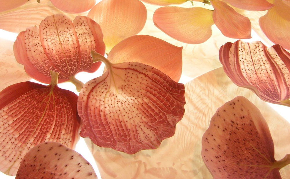 FeiblemanD_Petals_Sakazuki_Plate_Installation