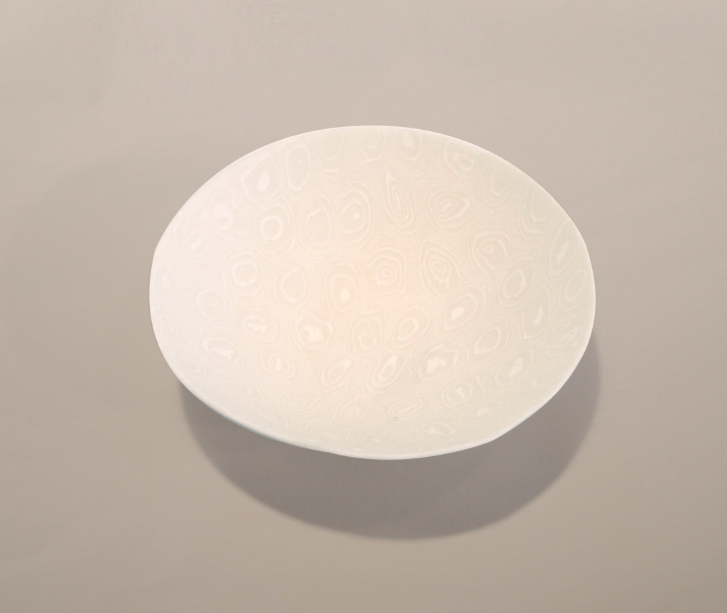 FeiblemanD_WhiteBowl_Sm_2015.JPG