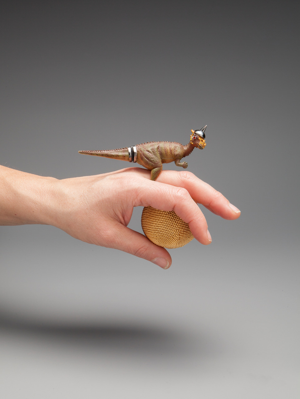 2016 Pachyceballosaurus - ring.jpeg