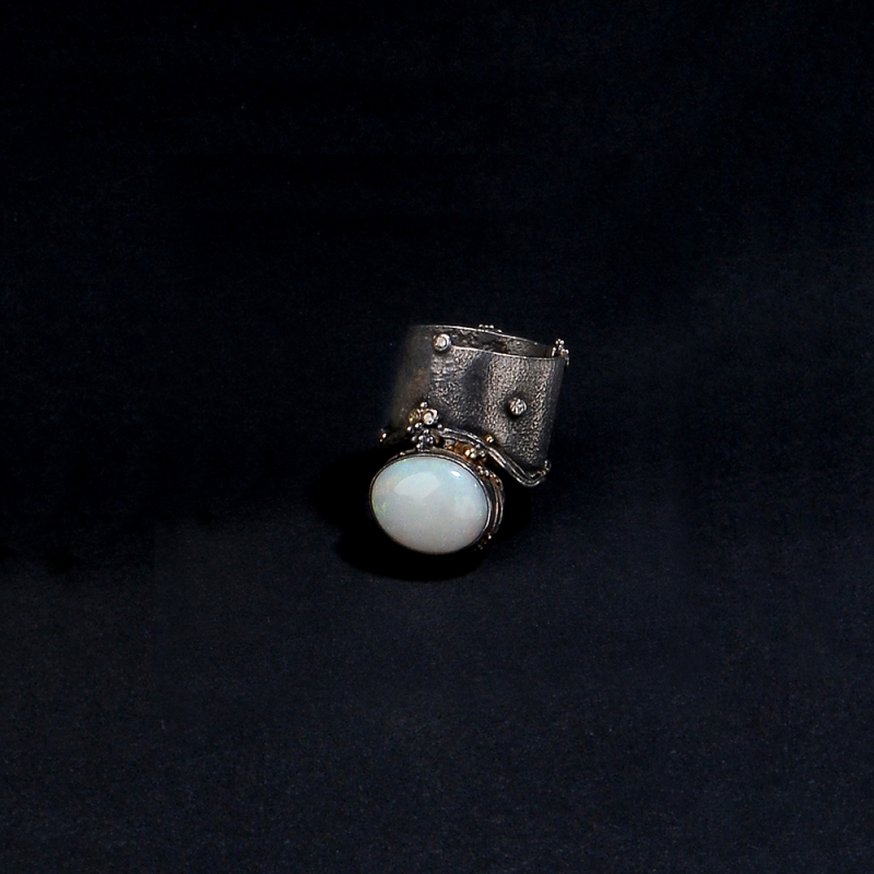 FlockingerG_Ring_528_w.jpg