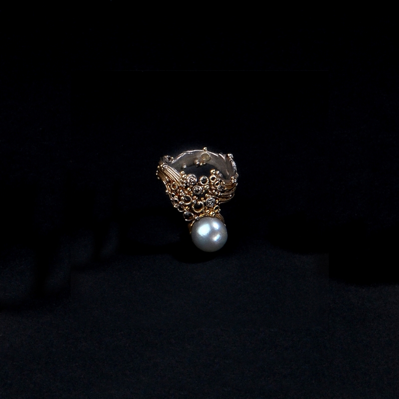 FlockingerG_Ring_694_w.jpg