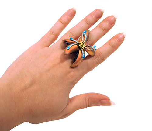 MarinJ_WaitingfortheHummingbird_Ring_Worn_2014_sm