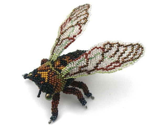 Paust Cicada Brooch.jpg Paust Cicada Brooch.jpg