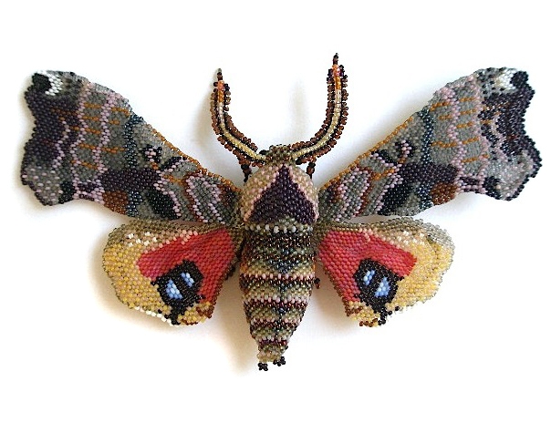 Paust Sphinx Moth Brooch.jpg Paust Sphinx Moth Brooch.jpg