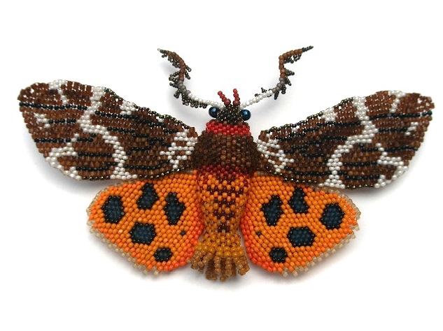 Paust Tiger Moth Brooch.jpg Paust Tiger Moth Brooch.jpg