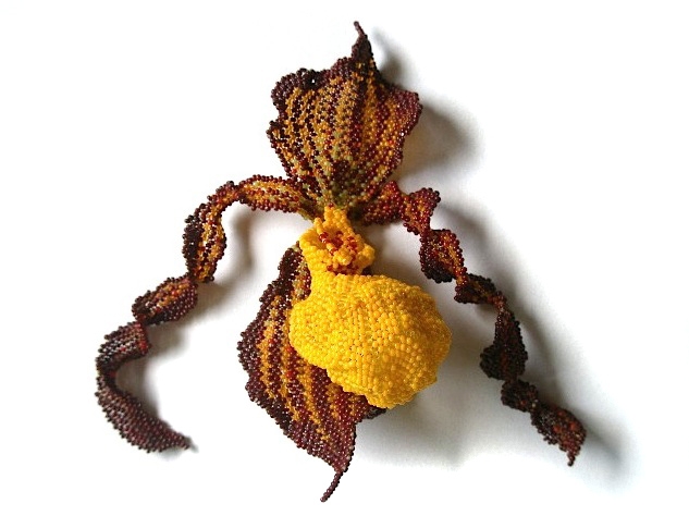 Paust Yellow Lady Slipper.jpg Paust Yellow Lady Slipper.jpg