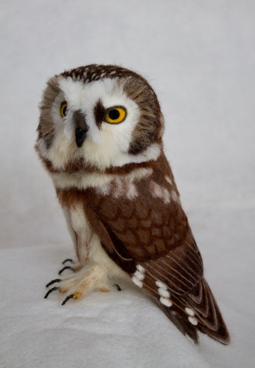 needle felt saw-whet owl 8.jpg