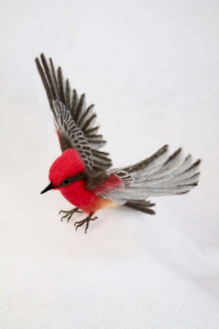 needlefelt vermillion flycatcher 3.jpg needlefelt vermillion flycatcher 3.jpg