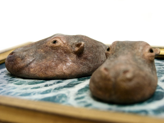 HippopotamusDetail