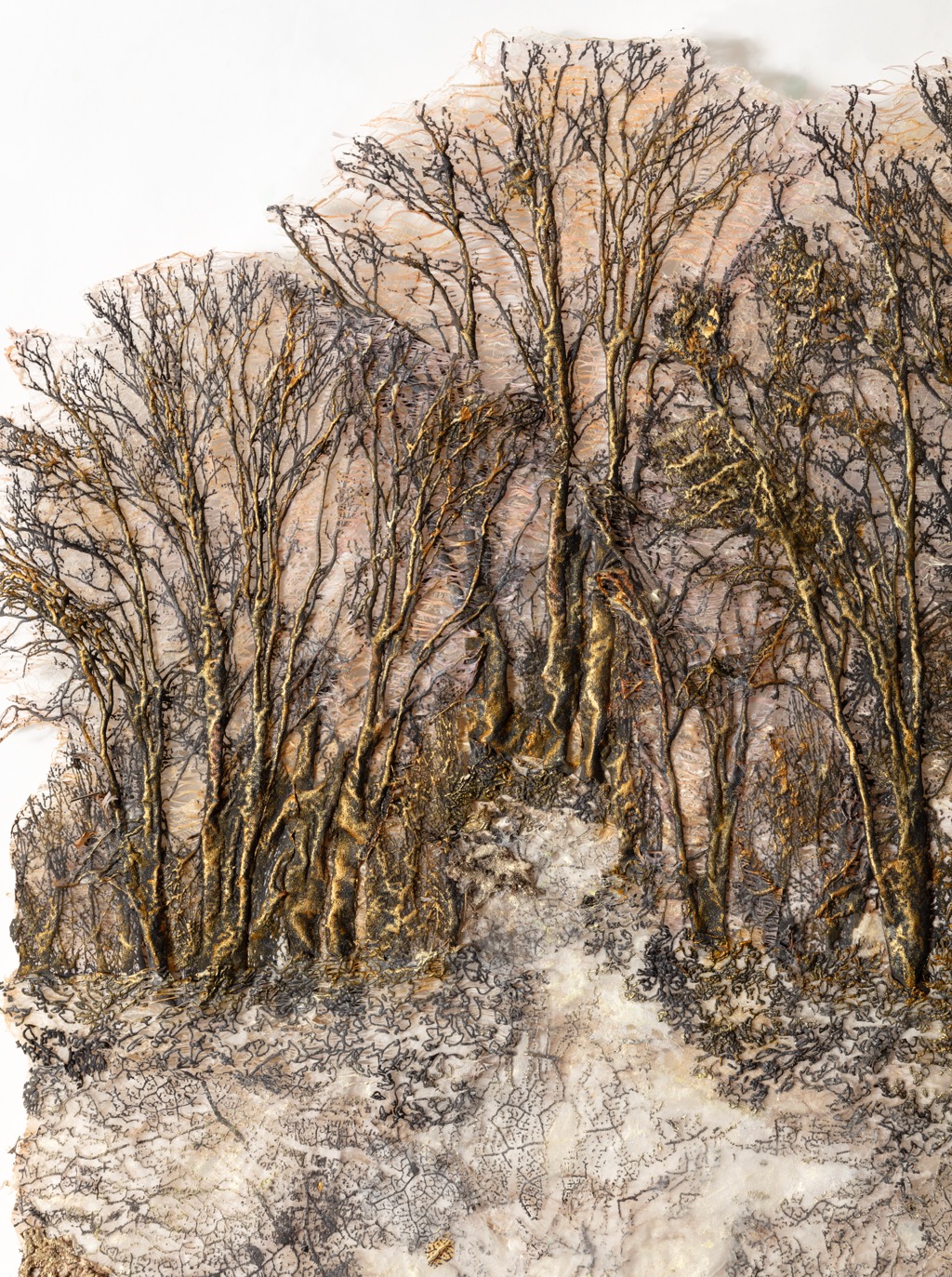 Pathways detail 1.jpg Pathways detail 1.jpg