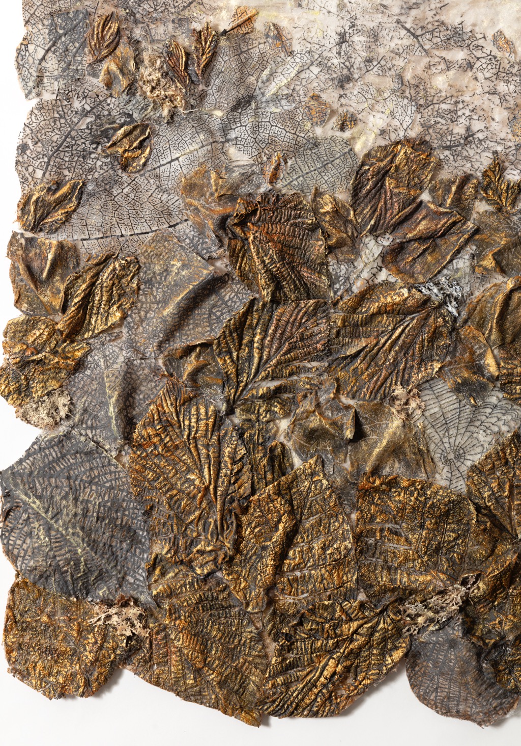 Pathways detail 2.jpg Pathways detail 2.jpg