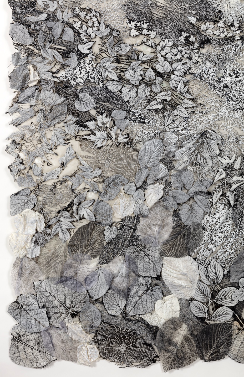 Skyline Moonlight detail 1.jpg Skyline Moonlight detail 1.jpg