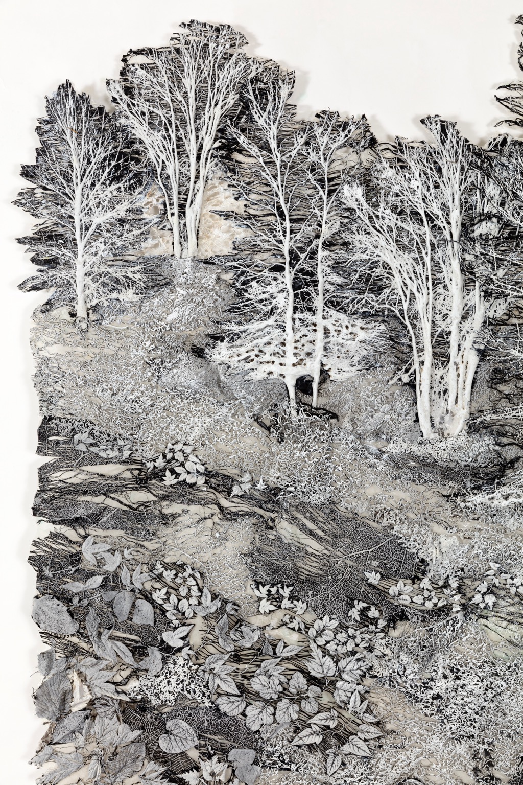 Skyline Moonlight detail 2.jpg Skyline Moonlight detail 2.jpg