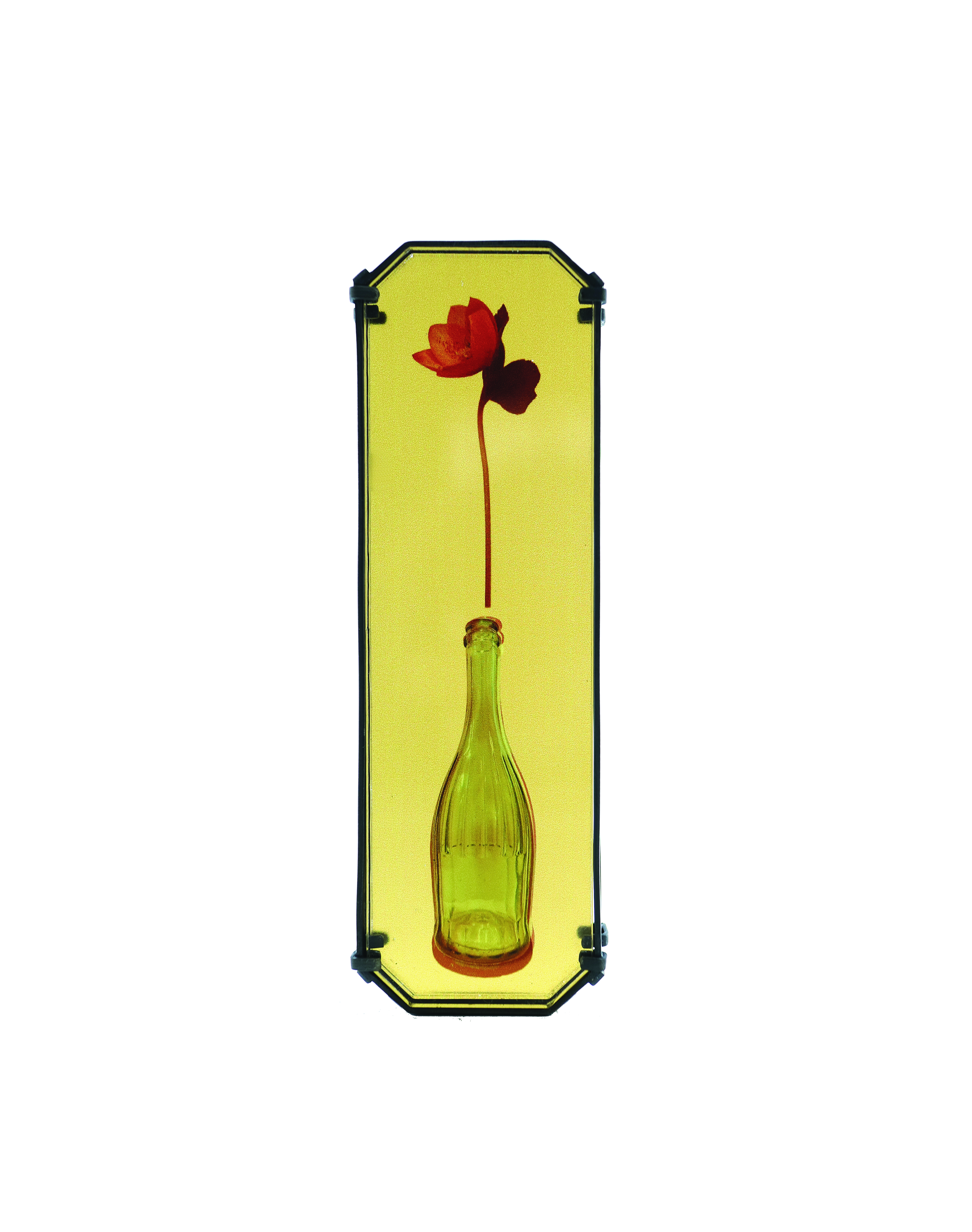 Still-Life_The-8th-Bottles