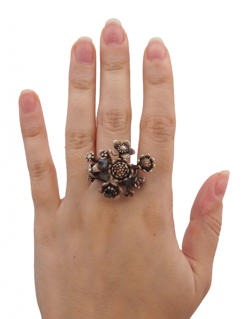 RochelN_NR13_PatinatedSterlingSilver_Ring_Worn.jpg RochelN_NR13_PatinatedSterlingSilver_Ring_Worn.jpg