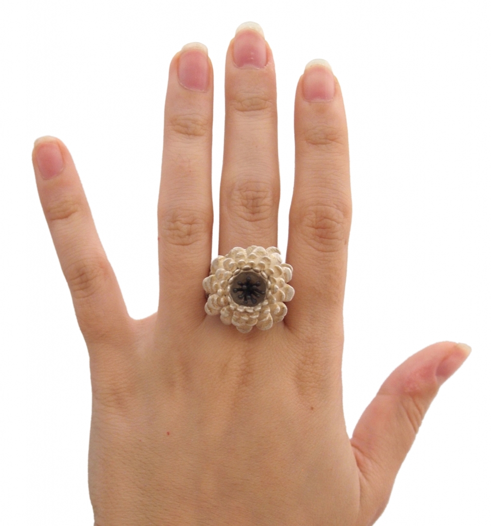 RochelN_NR5_SilverSteel_Ring_Worn.jpg RochelN_NR5_SilverSteel_Ring_Worn.jpg