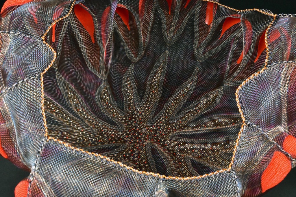 Bergner_Red_Lipped_Sea_Cluster_d.jpg
