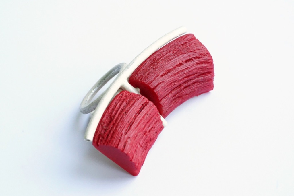 ring_wood_fiber_E.Drude.jpg