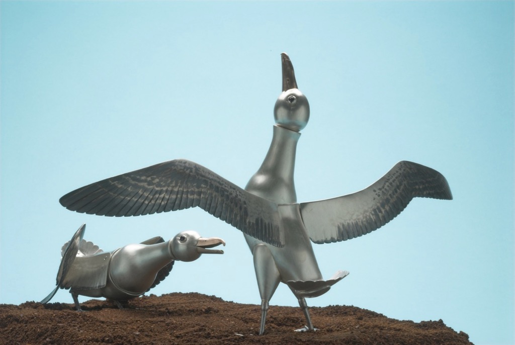 rie taniguchi 19 02 18DSC_0004joel degen photography-1.jpg