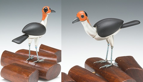 TaniguchiR_Picathartes.jpg