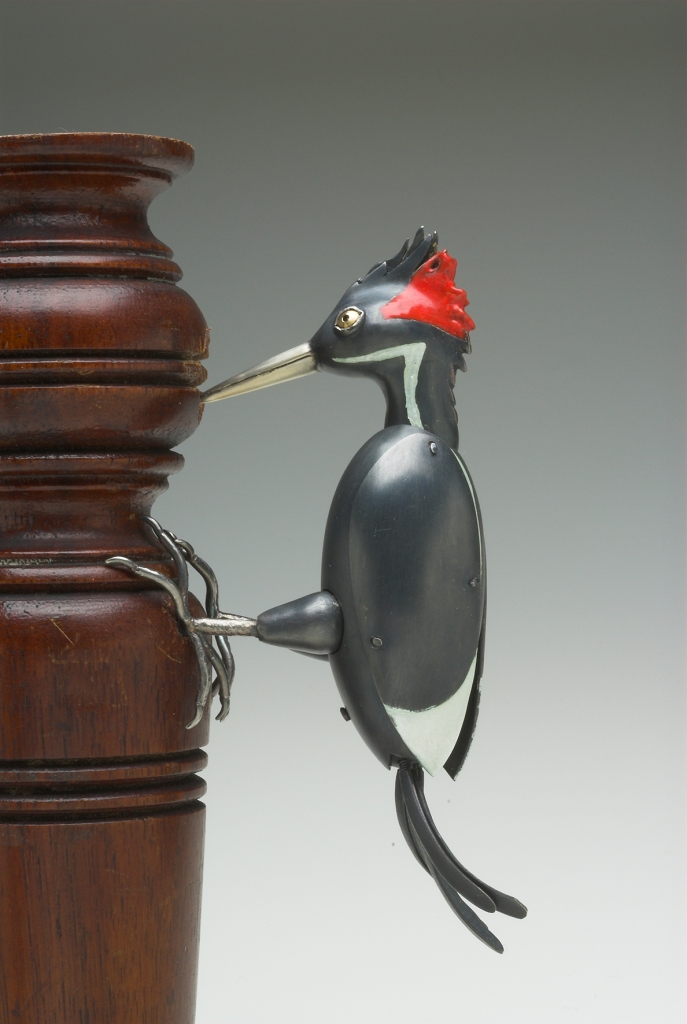 TaniguchiR_Ivory-BilledWoodpecker_PhotoJoëlDegen.jpg