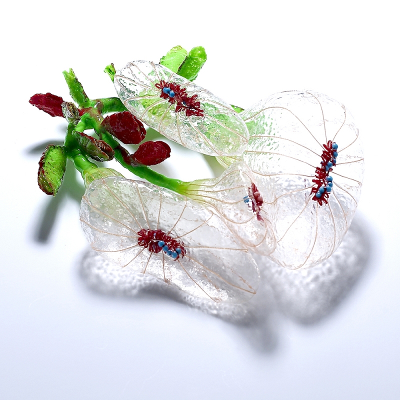 KwonS_Brooch_Overture_w.jpg