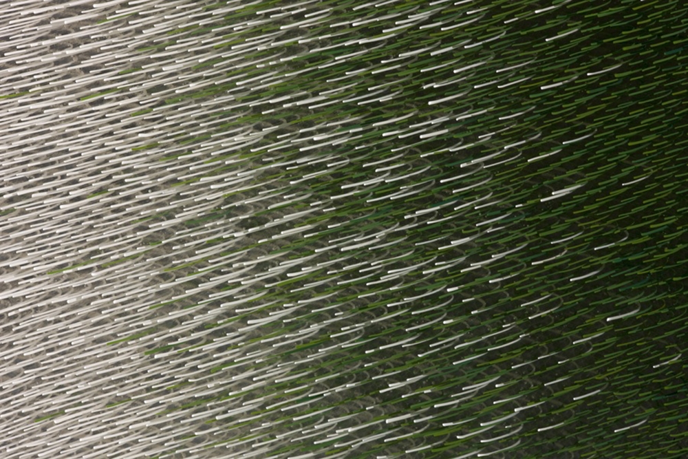 AlbertS_IntentionallyRandomLineStudy_WhiteGreen_Detail_w.jpg