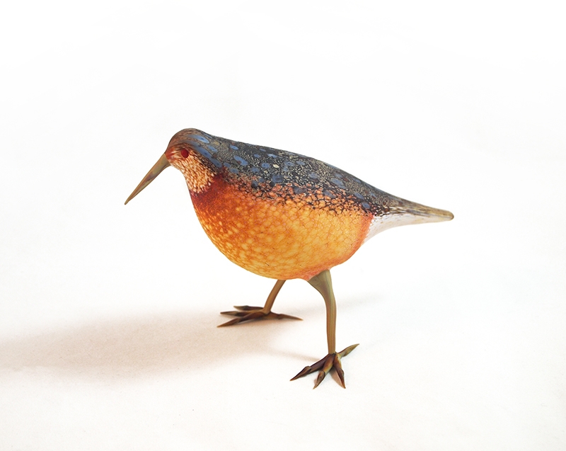 FeroS_Bird8.2015_WhiteThroatedPiper_w.jpg