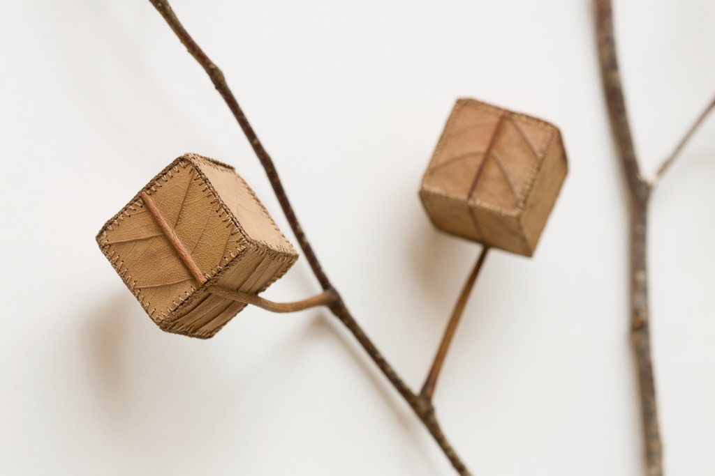 Cube Tree No.5 (detail 1).jpg