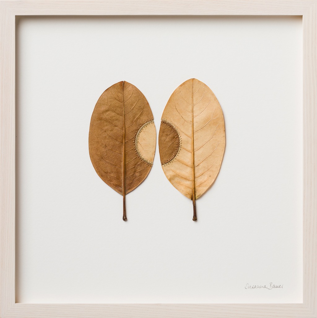 Trans-Plant No.21 (photo_art-photographers.co.uk)TAN23909.jpg