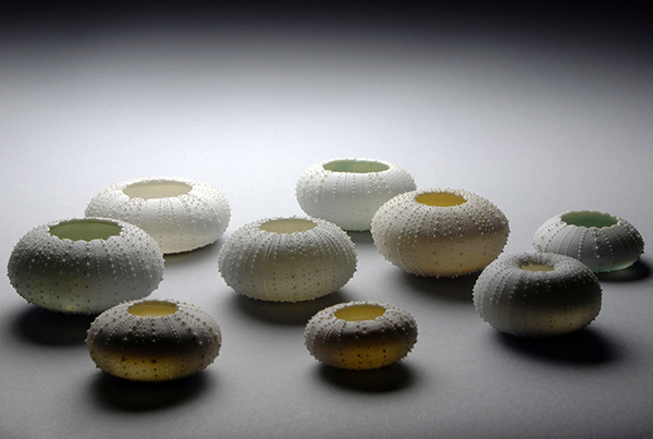 MatsumotoN_SeaUrchins_Translucent_Group_sm