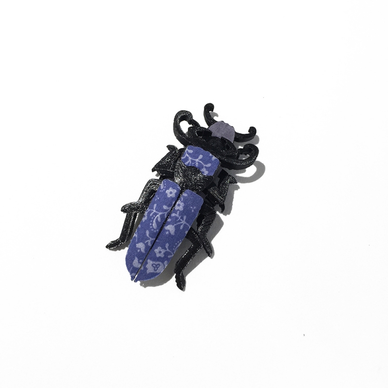 FriedmanY_Brooch_Cacujidae_w.jpg